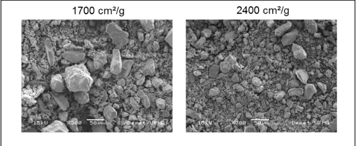 Figure 25: Change in the aspect of the iron ore particle’s size through SEM analysis (42) 