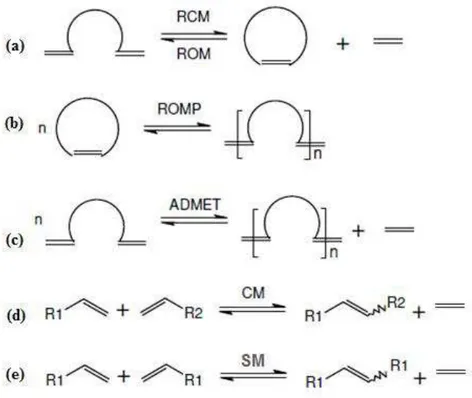 Figura 2: Tipos de reações de metátese de olefinas [14]. 