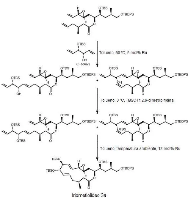 Figura  4:  Síntese  de  iriometeolídeo  3a  através  das  reações  de  metátese  cruzada  e 