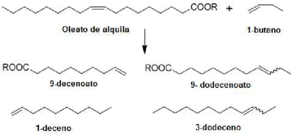 Figura 5: Reação de metátese cruzada de oleatos com 1-buteno [19]. 
