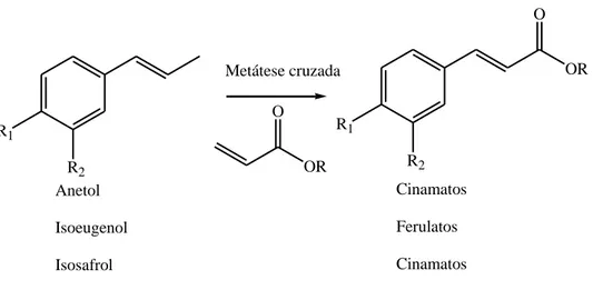 Figura 25: Metátese cruzada de olefinas para produção de cinamatos e ferulatos. 