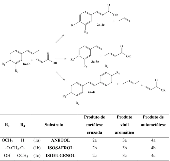 Figura 27: Possíveis produtos da reação de metátese cruzada das olefinas com os acrilatos a 