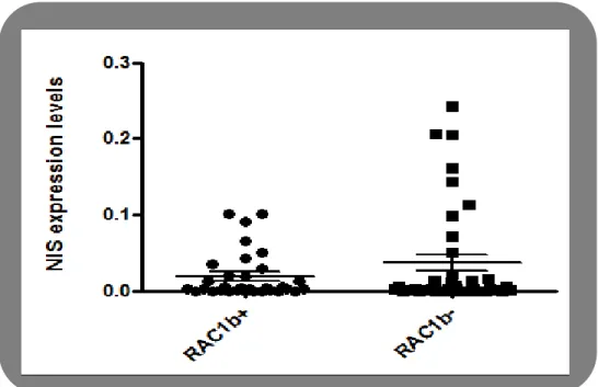 Figure III.1 - NIS expression levels in RAC1b‐positive and RAC1b‐negative PTCs and  FTCs