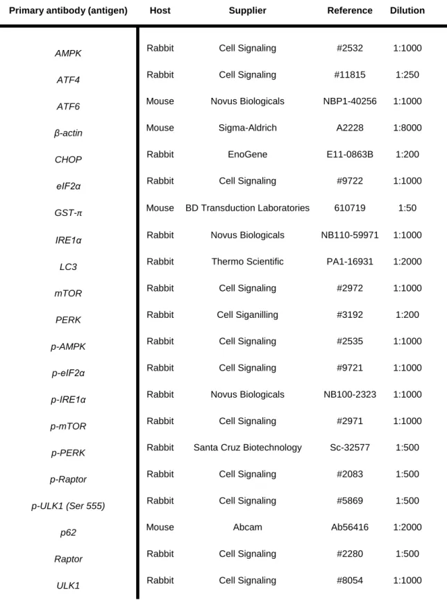 Table II.1 – List of the primary antibodies used in western blot and immunofluorescence assays