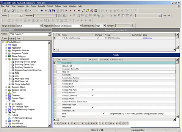 Figura 3.4: Siebel Tools