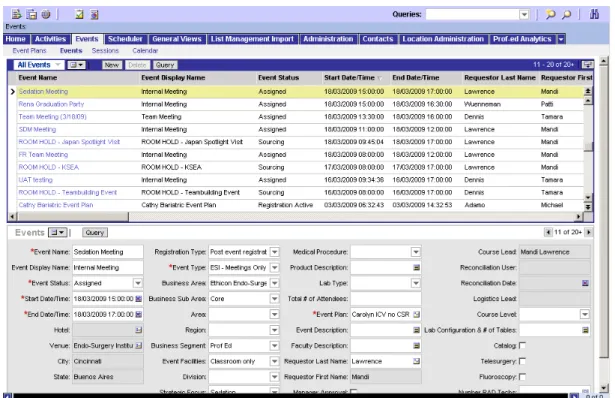 Figura 3.5: Siebel Client