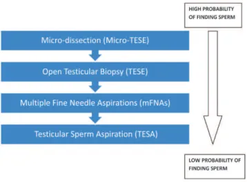 Figure 1 - Probability of retrieving sperm in NOA by various surgical procedures (high to low).