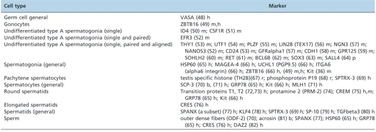 Table 2 - Testicular somatic cell markers.