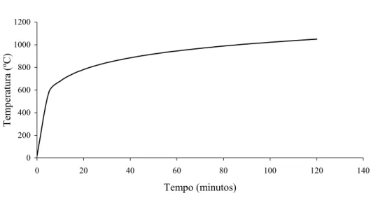 Fig. 2.2 – Curva de incêndio-padrão segundo a ABNT NBR 14432:2000 