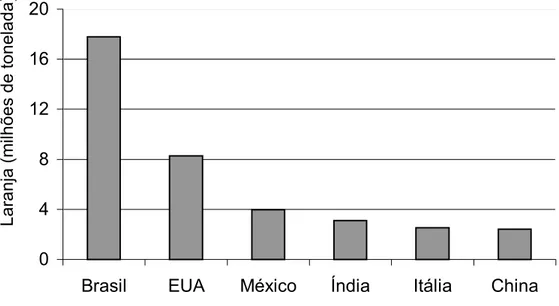 Figura 1.  Principais países produtores de laranja no ano de 2005. Fonte:  FAO (2006).