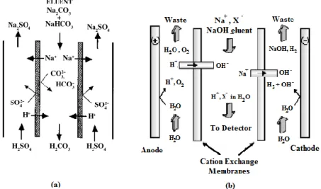 Figura 4: Esquema do funcionamento de um supressor de membranas de troca catiónica com (a) regeneração  química e (b) auto-regeneração [36]