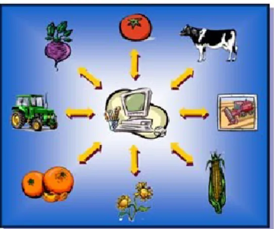 Figura II.7.   Vertentes da gestão agro-pecuária; Fonte: Silveira e Espírito Santo (2008)