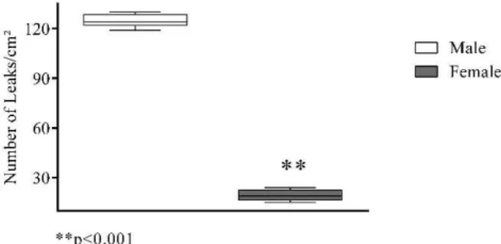 Figure 1 - An increase in macromolecular permeability induced by ischemia/reperfusion.