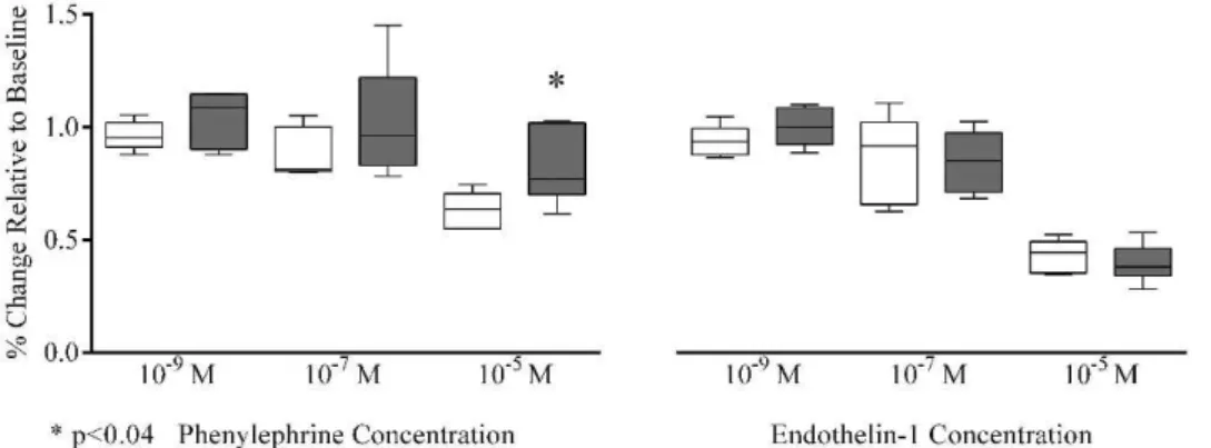 Figure 3 - Arteriolar vasoconstriction induced by phenylephrine and endothelin-1 according to dose.