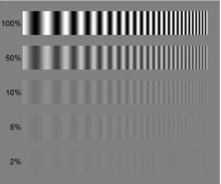 Figura 15 - Transferência de contraste para uma imagem considerando diferentes valores de MTF