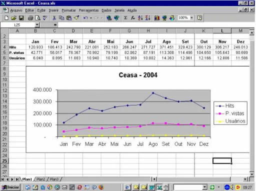 Tabela 6 – Estatísticas de acesso do Ceasa, em 2004 