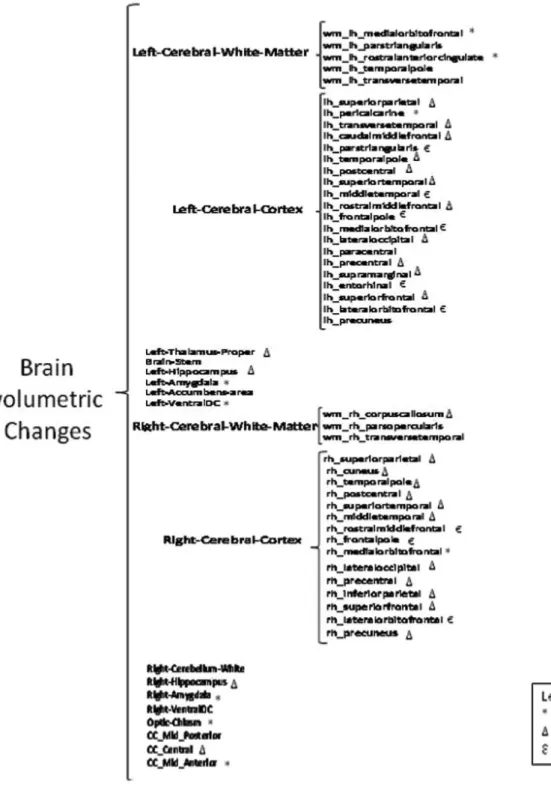 Figure 1 - Brain Volumetric Changes.