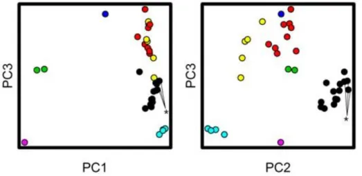 Figure 2.7 – PCA of different E. coli isolates to see if the unidentified isolates correspond to the known isolate