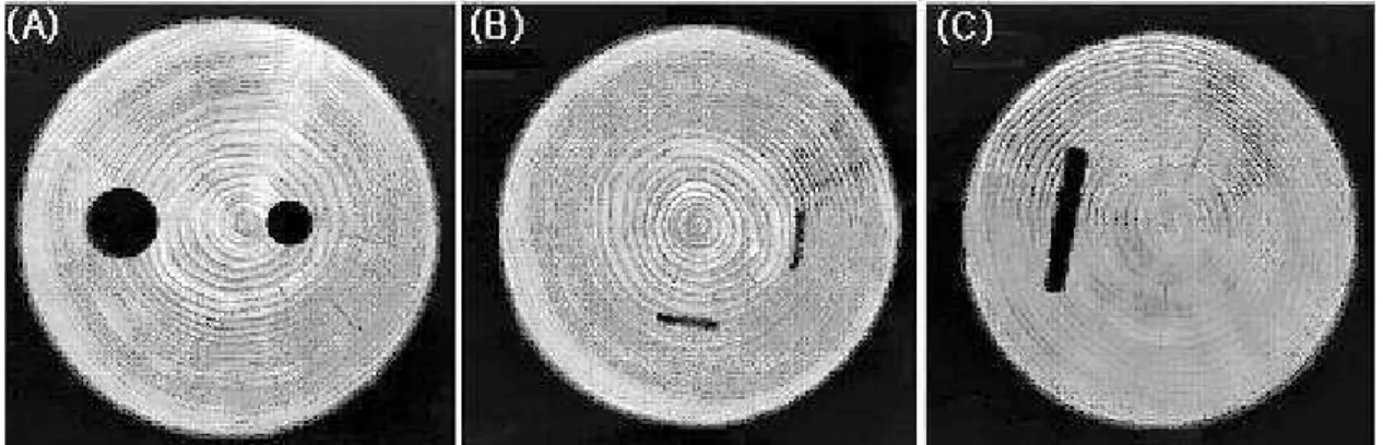FIGURA 2.7 – Radiografias de uma seção transversal de madeira com vários defeitos.  Fonte: Lee et al