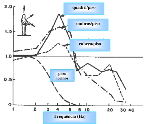 Figura 2.3- Curvas de transmissibilidade de vibrações verticais, considerando o corpo humano na  posição em pé (Balbinot, 2001)