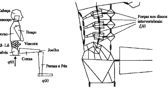 Figura 3.12- Representação do modelo proposto por Pankoke et al. (1998), com destaque para o  detalhamento da região lombar