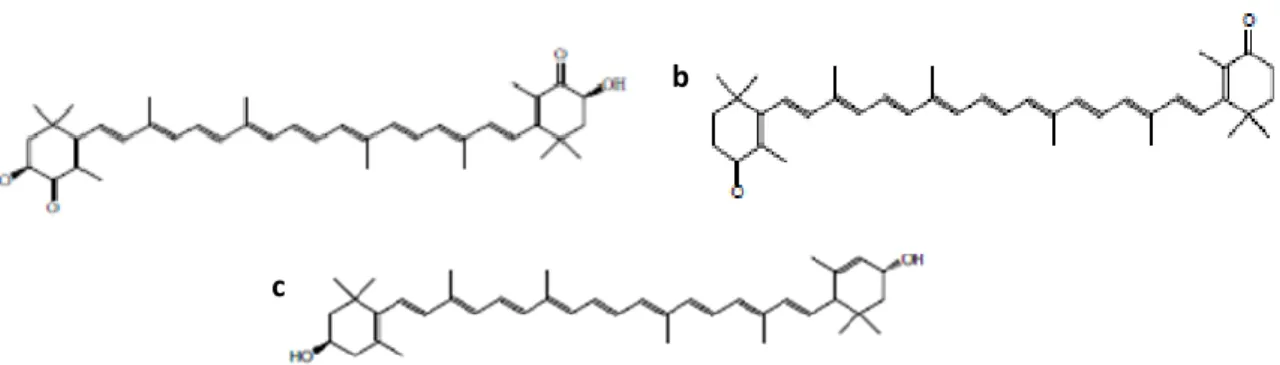 Table  1- ED1 (L 0 ) according to a Doehlert distribution for two factors: % of glucose in a mixture glucose  +  fructose (0-100%) and sulfate  concentration (7-37 mg.L -1 ), and the responses evaluated (biomass and total carotenoids)