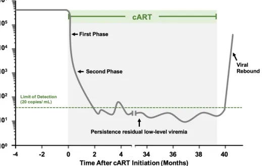 Figure 6 - Decay dynamics of plasma HIV-1 RNA before, during and after cART treatment