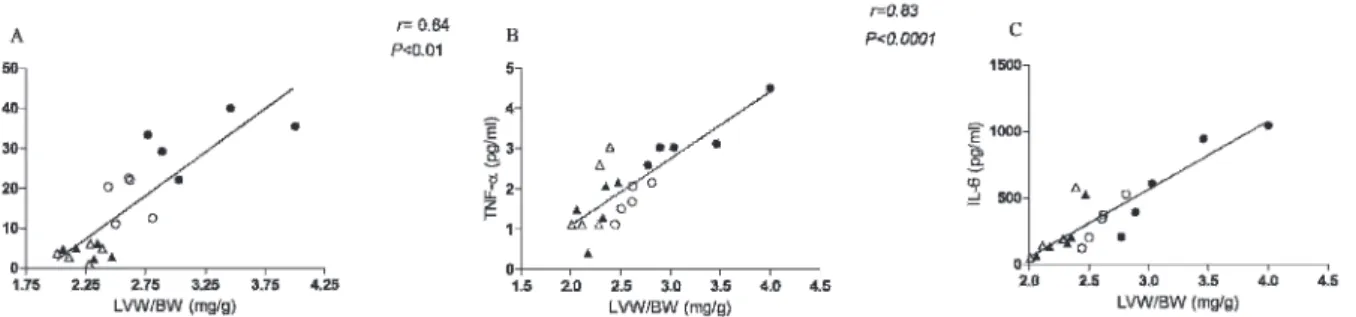 Figure 3 - Correlations among A) left ventricular weight (LVW):body weight (BW) and left ventricular end-diastolic pressure (LVEDP), B) TNF-a and LVW:BW, and C) IL-6 and LVW:BW of sham sedentary rats (m), sham trained rats (n), chronic heart failure traine