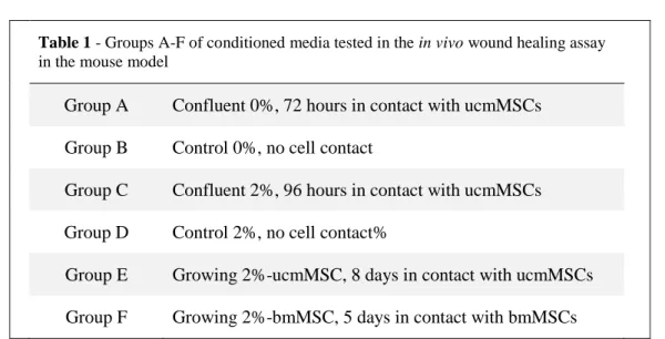 Table 1 - Groups A-F of conditioned media tested in the in vivo wound healing assay  in the mouse model 