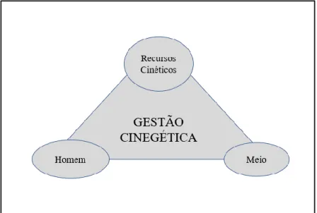 Figura 6- Triangulação centrada nos elementos da Gestão Cinegética  Fonte: Elaboração própria com base em documento do ICNF 