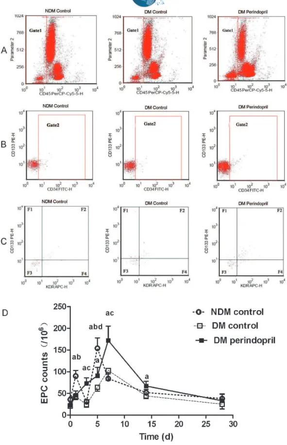 Figure 1 - Changes in circulating CD45 2/low+ CD133 + CD34 + KDR + EPCs in NDM and T2DM patients with AMI