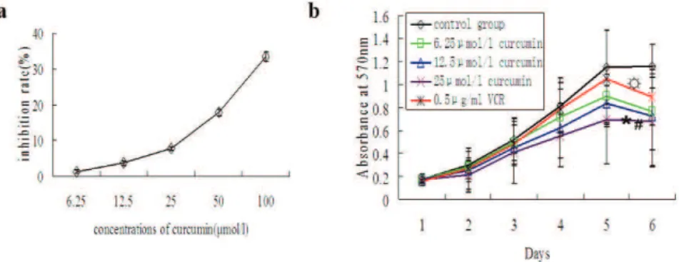 Figure 1 - Suppression of HCT-8/VCR cell growth by curcumin treatment. A) Concentration-response curves in HCT-8/VCR cells treated with different concentrations of curcumin