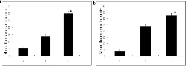 Figure 2 - Effects of curcumin on Rh123 retention (a) and accumulation (b) in HCT-8/VCR cells