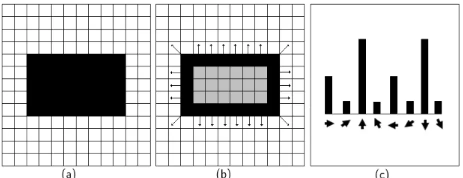 Figura 2.3: Ilustra¸c˜ao do conceito de bordas e seu histograma de orienta¸c˜ao. (a) Subconjunto de pixeis conexos em preto