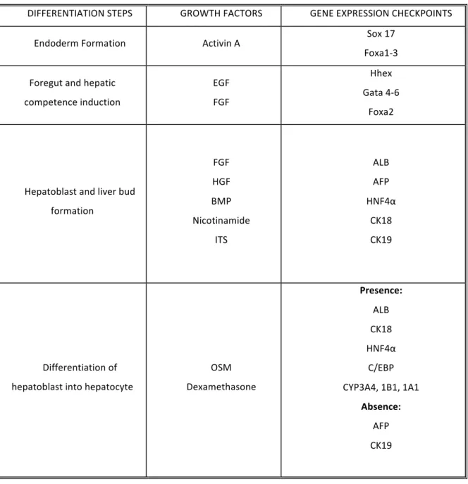 Table   1.   Summary   of   in   vitro   differentiation   protocols   mimicking   the   in   vivo   liver   development;   gene   expression    checkpoints   after   each   step   of   differentiation