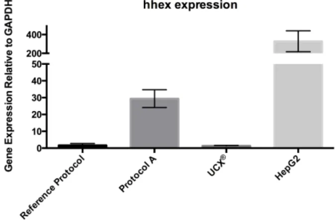 Figure   2.   Relative   hhex   gene   expression   of   differentiated   UCX®   resultant   from   Reference   Protocol   and   Protocol    A   at   day   2,   of   undifferentiated   UCX®(negative   control)   and   HepG2   (positive   control),   determ