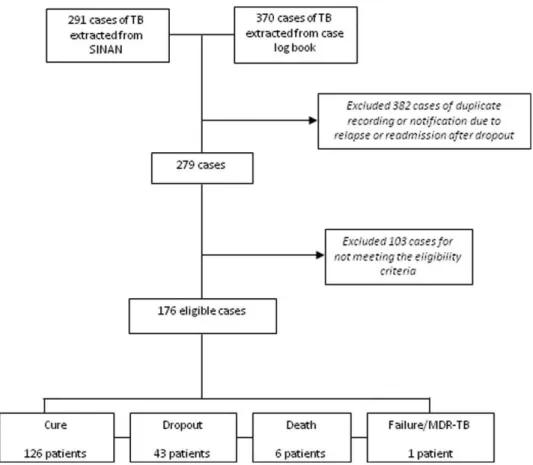 Figure 1 - Flowchart of cases of tuberculosis (TB) included in the study, CSEGSF/ENSP/FIOCRUZ-RJ, 2004-2008.