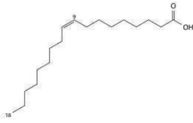 Figura 3.1- Estrutura Química do Ácido Oleico 
