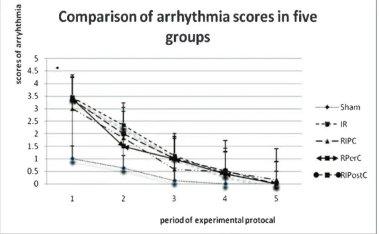 Table 1 - Hemodynamic data obtained from each group of rat models at different time points.