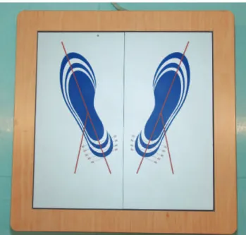 Figure 1 - Force platform (DL Medica Spa Milano).