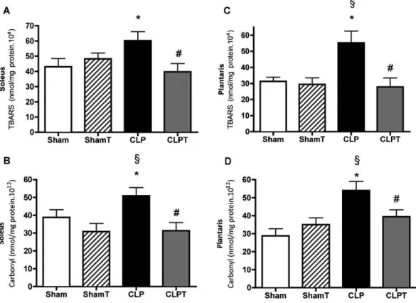 Figure 5 - Oxidative stress parameters. (A, C) Thiobarbituric acid reactive substances (TBARS) and (B, D) carbonyl in the soleus and plantaris muscles at five days after surgery