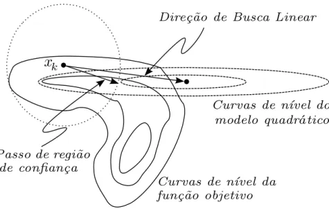 Figura 1.2: Passo da região de confiança e direção de busca linear.