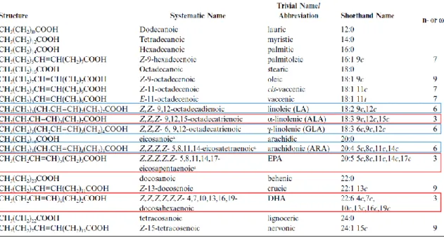 Table 1.4 - Structure, systematic, trivial, and shorthand names of some common fatty acids,  with (n-3) FA marked in red and (n-6) FA marked in blue