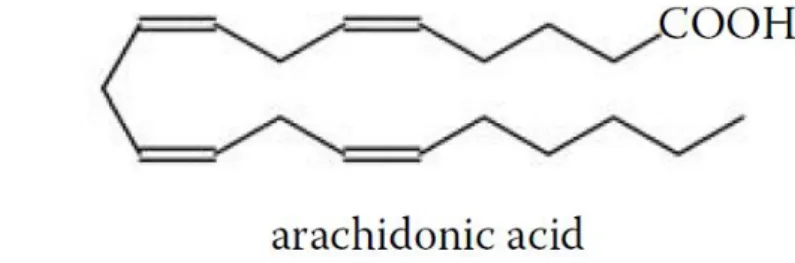Figure 1.7 – Arachidonic acid representation. In Gunstone et al. (2007). 