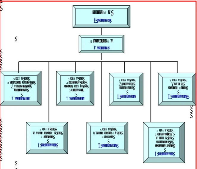 Figura 18: Representação da amostra selecionada na estrutura organizacional da DCEM  Fonte: Elaboração própria
