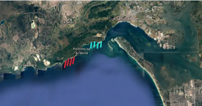 Fig 3.1.1. - Coastal area of Arrábida where sampling took place (Blue: December; Red: January)
