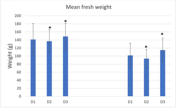 Fig 4.2.3 - Mean fresh weight (±SD) in individuals of Holothuria forskali in the beginning (January) and the end  (May) of the trial (D1 = 6 kg.m -3 ; D2 = 15 kg.m -3 ; D3 = 30 kg.m -3 )