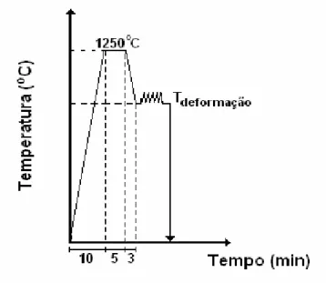 Figura 4.3. Ciclos térmicos empregados durante os ensaios de torção simples. 