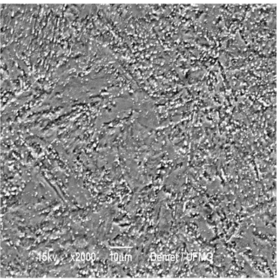 Figura 5.4. Micrografia da amostra no estado como recebido do tubo de DIN X20Cr13.  Ataque: Villela