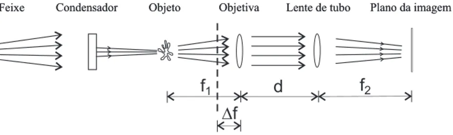 Figura 3.1: Esquema do microsc´opio desfocalizado: A objetiva L 1 est´a desfocalizada por uma pequena distˆancia −∆f, no sentido do objeto